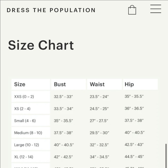 Dress The Population Silvia dress with beaded top, altered to cocktail length - Picture 14 of 14